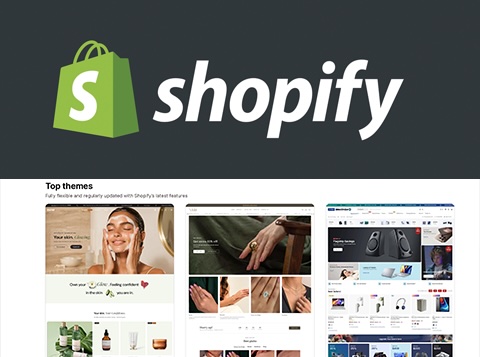 Shopify themes guide