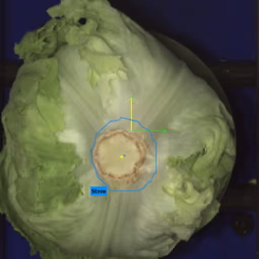 Tordivel Scorpion Vision software analysing food quality in production